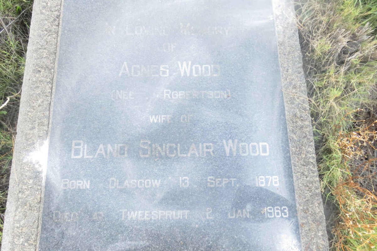 WOOD Agnes nee ROBERTSON 1878-1963