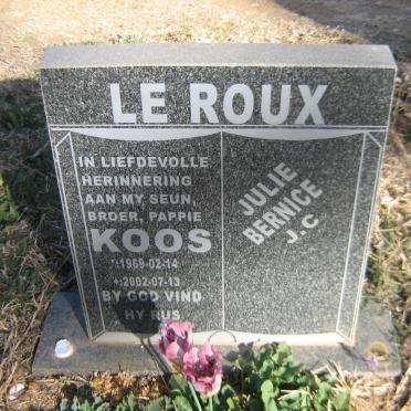 ROUX Koos, le 1969-2002