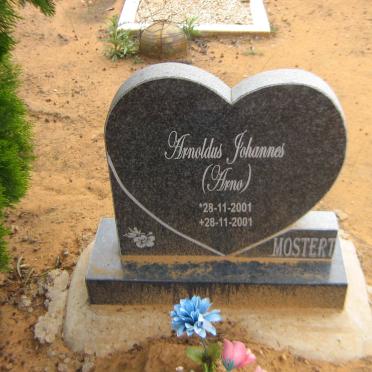 MOSTERT Arnoldus Johannes 2001-2001