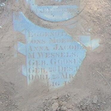 WESSELS Anna Jacoba M. nee GOOSEN 1891-1941