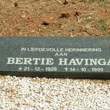 HAVINGA Bertie 1928-1999