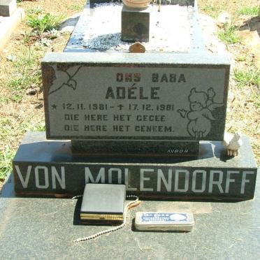 MOLENDORF Adéle 1981-1981