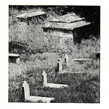 01. Overview / Oorsig