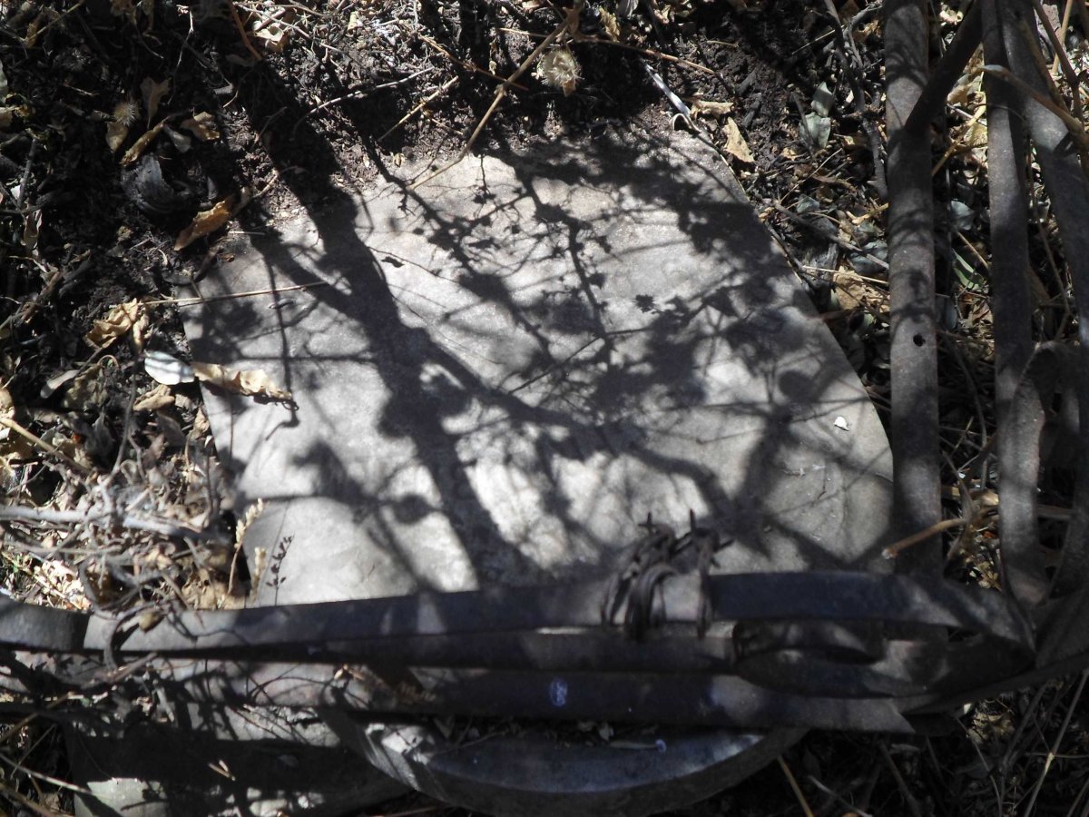 BIERMAN Adolf Siegfried 1827-1902