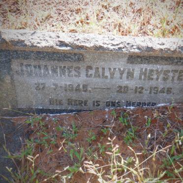 HEYSTEK Johannes Calvyn 1945-1946