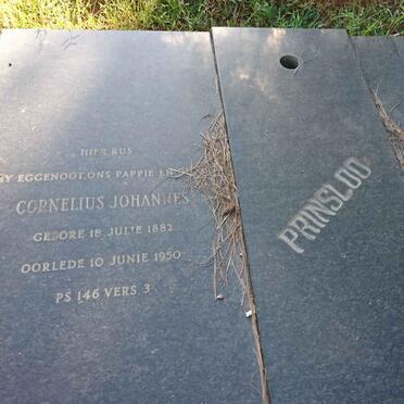 PRINSLOO Cornelius Johannes 1882-1950 &amp; Catharina Maria 1887-1984