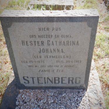 STEINBERG Hester Catharina Johanna nee VERMEULEN 1875-1963