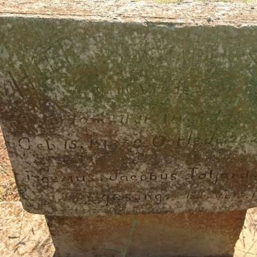 TALJARD Jogemus Jacobus 18?8-1928