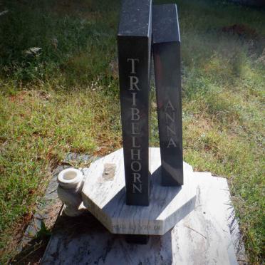 TRIBELHORN Koos 1920-1985 &amp; Anna 1925-