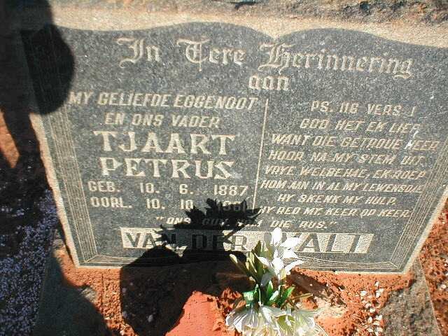 WALT Tjaart Petrus, van der 1887-1961