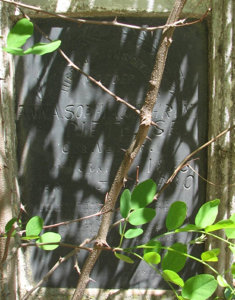 PIETERSE Anna Sophia Catharina nee VENTER 184?-1930