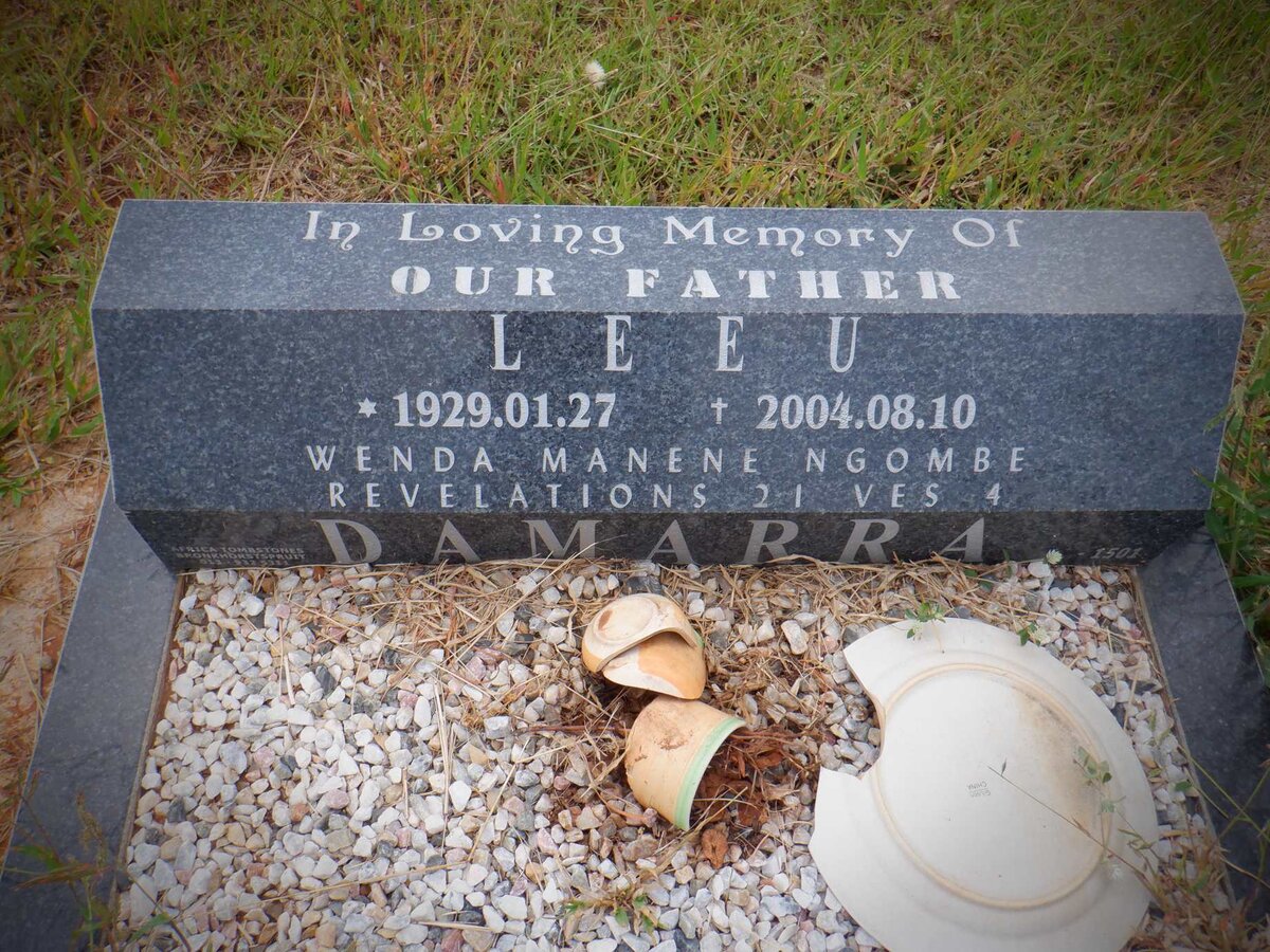 DAMARRA Leeu 1929-2004