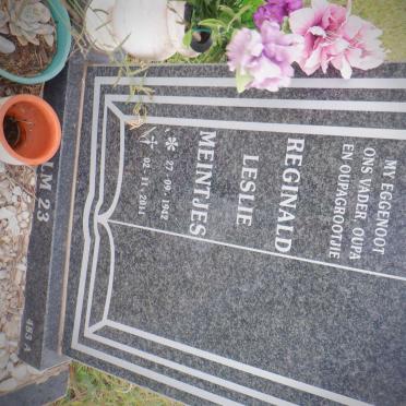 MEINTJES Reginald Leslie 1942-2011