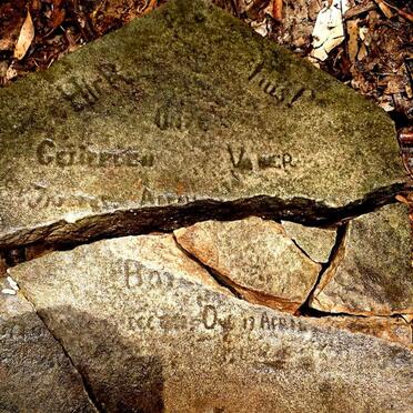 Gauteng, BENONI district, Bredell, Vlakfontein 8 farm, farm cemetery