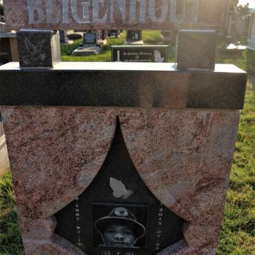 BLIGENHOUT ?os 1967-2013