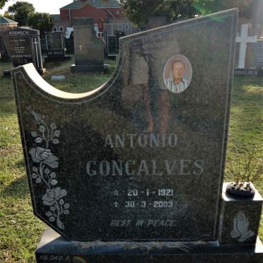 GONCALVES Antonio 1921-2003