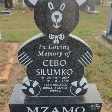 MZAMO Cebo Silumko 2017-2017