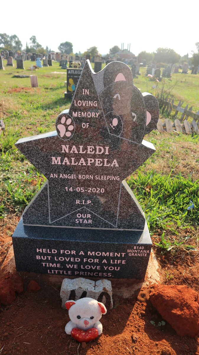 MALAPELA Naledi 2020-2020