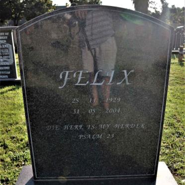 NIEUWOUDT Felix 1929-2004