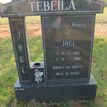 TEBEILA Joel 1968-2006