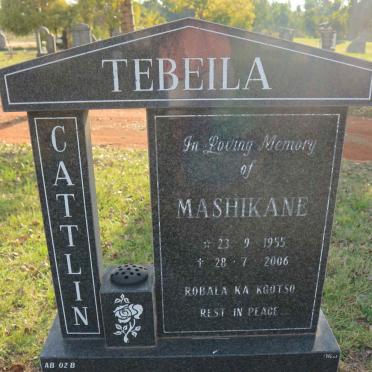 T - Vanne :: Surnames - T