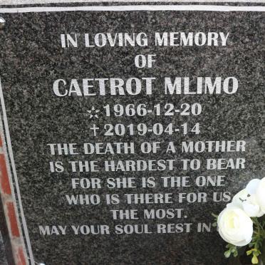 MLIMO Caetrot 1966-2019