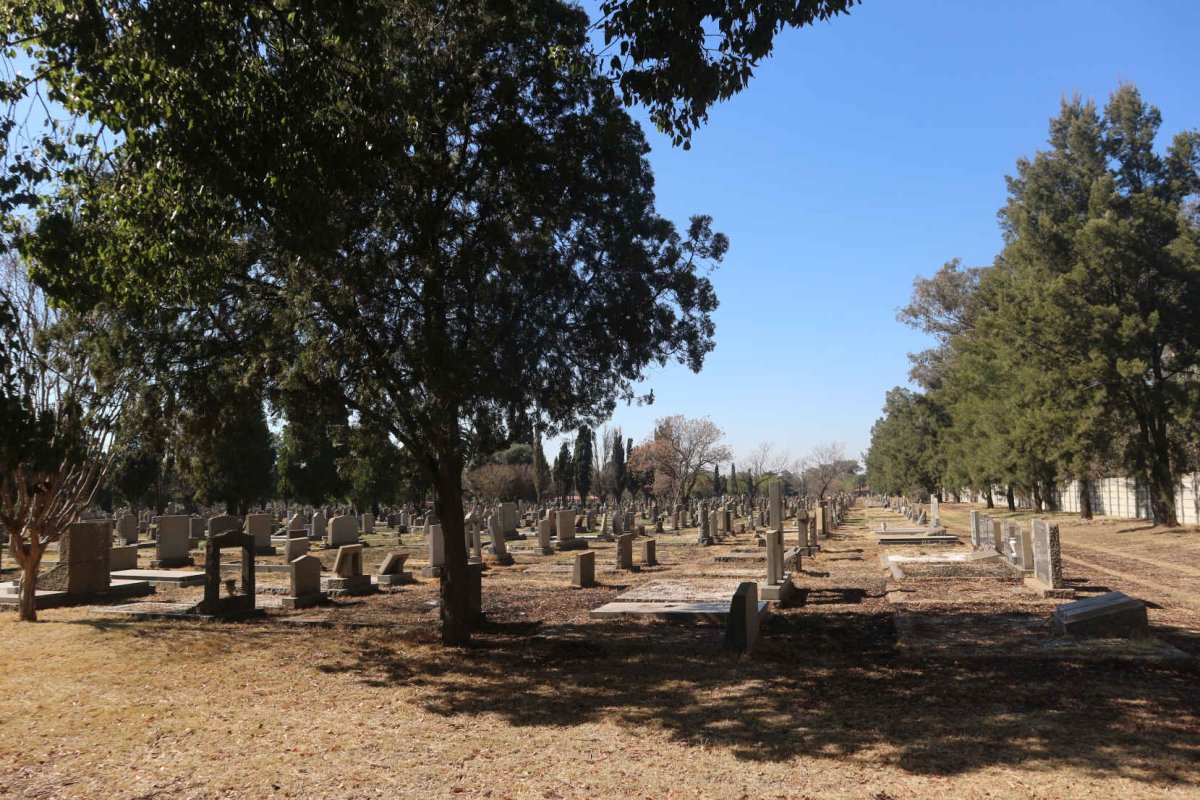 5. Overview / Oorsig