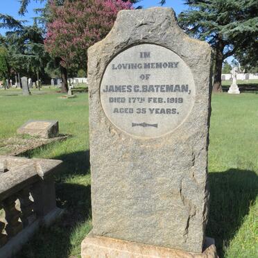 BATEMAN James C. -1919