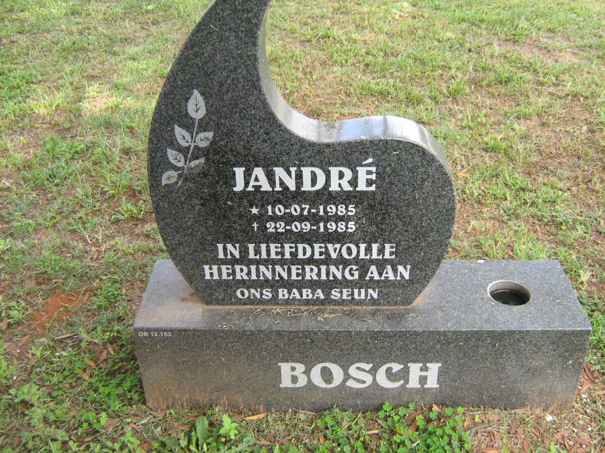 BOSCH Jandré 1985-1985