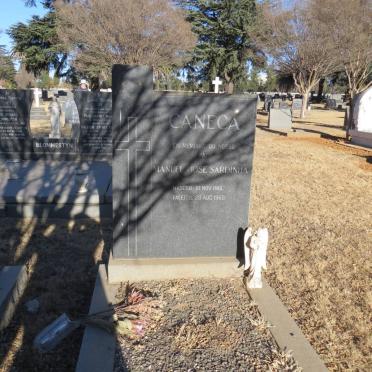 CANEACA Manuel Jose Sardinha 1915-1968