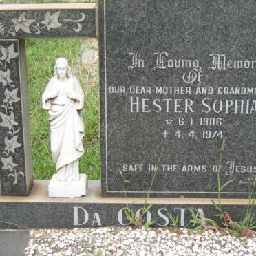 COSTA Hester Sophia, Da 1906-1974