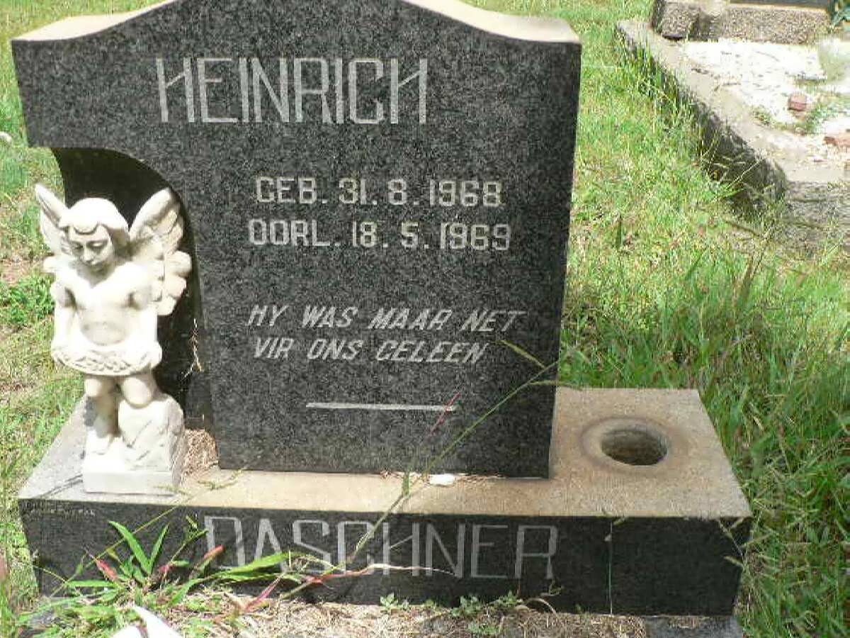 DASCHINER Heinrich 1968-1969