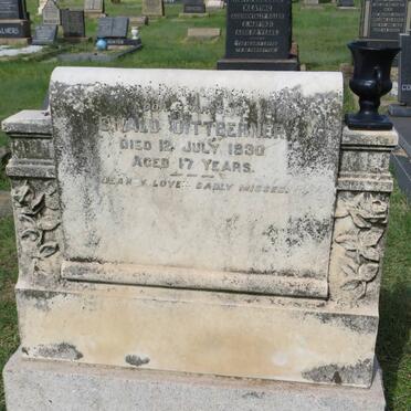 DITTBERNER Ewald -1930