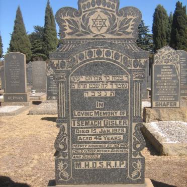 DISLER Tsemach -1929