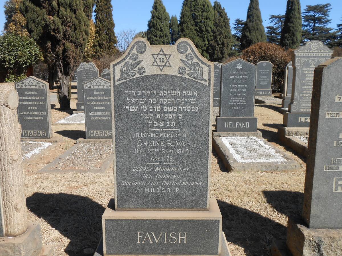 FAVISH Sheine Riva -1946