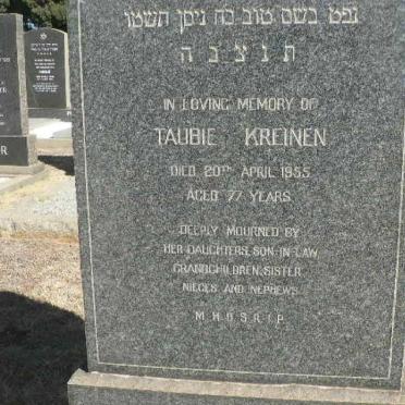 KREINEN Taubie -1955