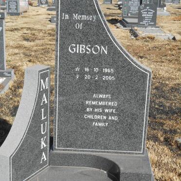 MALUKA Gibson 1965-2005