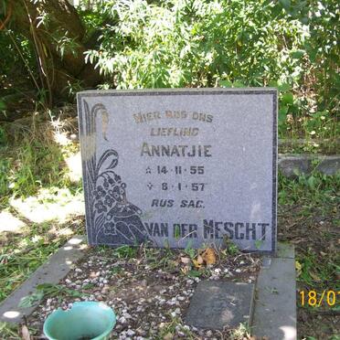 MESCHT Annatjie, van der 1955-1957