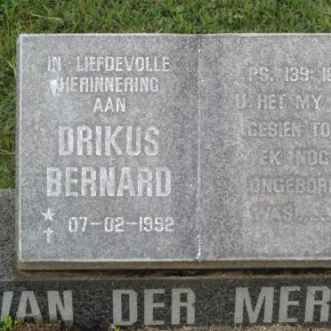 MERWE Drikus Berhard, van der 1992-1992