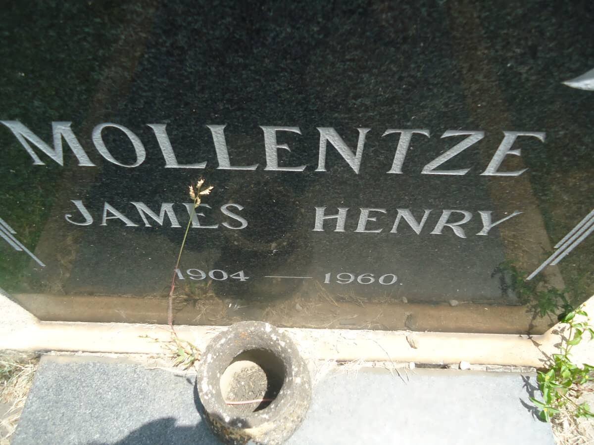 MOLLENTZE James Henry 1904-1960