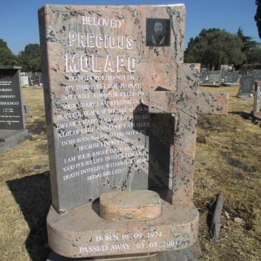 MOLAPO Precious 1974-2003