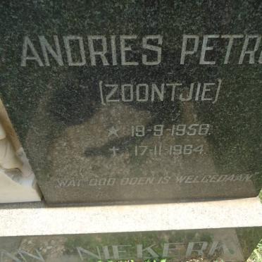 NIEKERK Andries Petrus, van 1956-1964