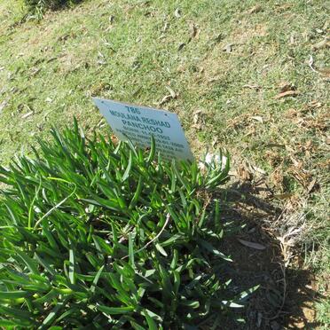 PANCHOO Moulana Reshad 1953-2008