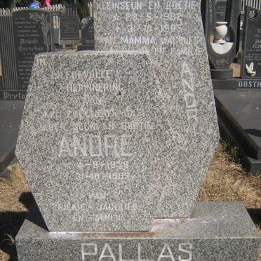 PALLAS Andre 1956-1985 :: PALLAS Andri 1982-1995