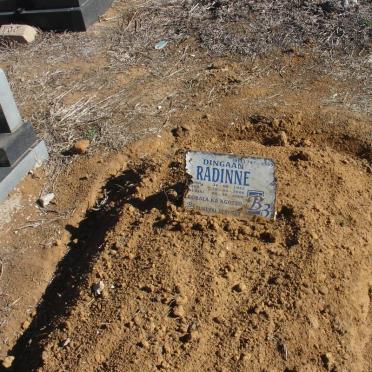 RADINNE Dingaan 1955-2008