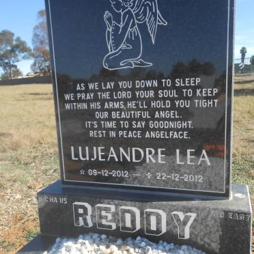 REDDY Lujeandre Lea 2012-2012