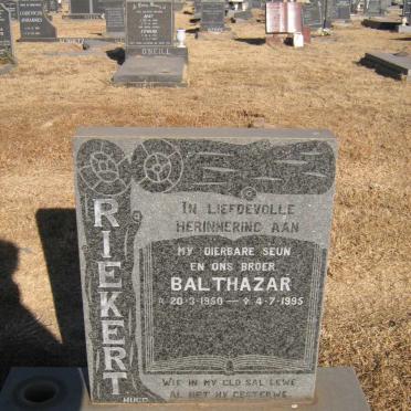 RIEKERT Balthazar 1950-1995