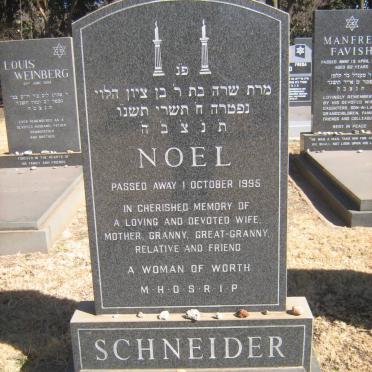 SCHNEIDER Noel -1995