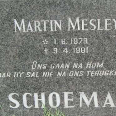 SCHOEMAN Martin Mesley 1979-1981