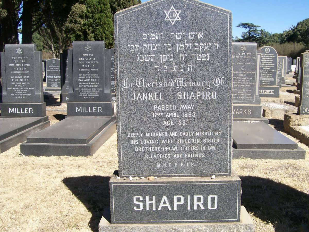 SHAPIRO Jankel -1963